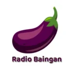 Radio Baingan
