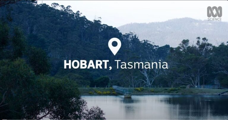 Australia Forest Sounds 8211 Dereel VIC 3h 3915
