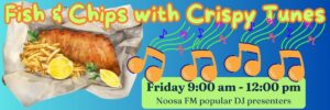 Noosa FM 8211 Noosa Heads 8211 101.3 FM MP3 3773