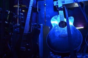 Aardvark Blues FM